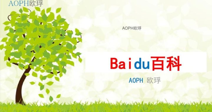 百度PPT模板：打造专业演示文稿的必备利器