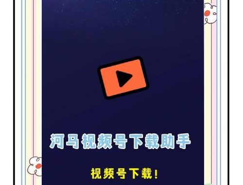 微信视频号小助手：全面解锁视频号运营新技能