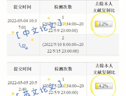 知网nag查重：深度解析与实用指南