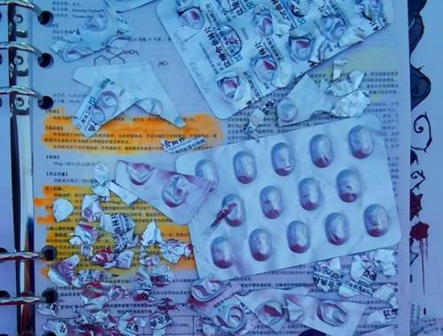 発達障害障害者手帐：个性化辅助工具的设计与使用指南