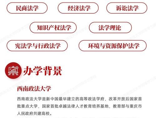 司法书士新人研修：全面指南与实战技巧