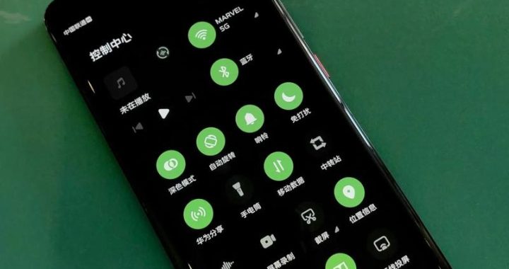 华为应用商店手机版：全面探索与深度解析