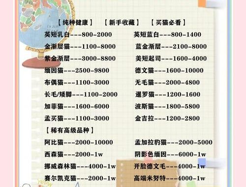 猫咪最新域名永久地址：全面解析与访问指南