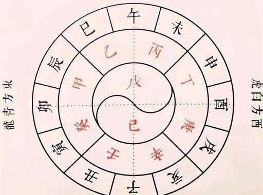 今年天干地支：乙巳年的奥秘与影响