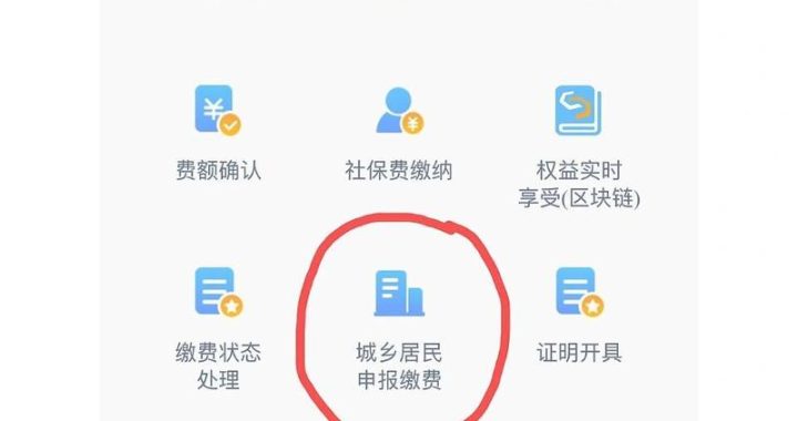 深圳社保补交：全面指南与注意事项