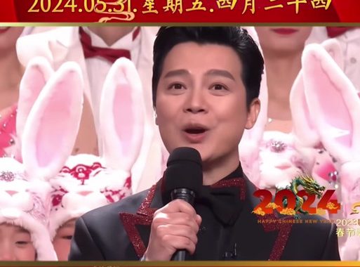 央视春晚直播2025：科技与文化的璀璨盛宴
