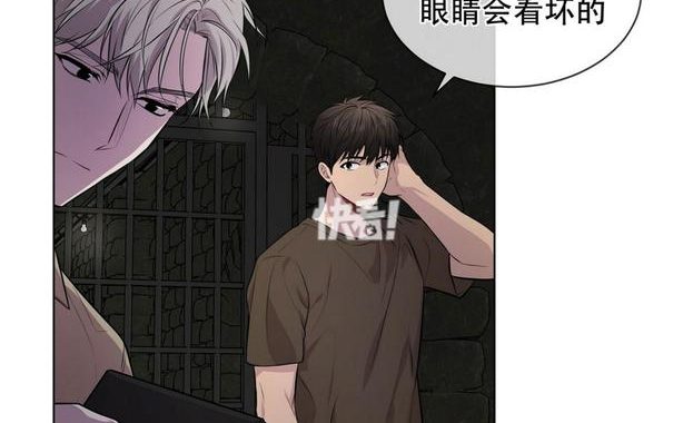 受难曲Passion小说无删减版在线阅读：探索爱与救赎的深邃之旅