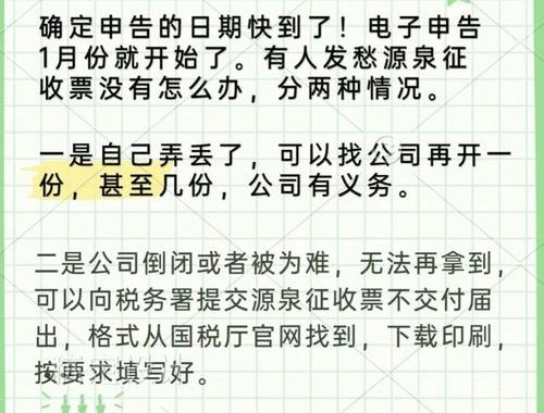 合计表源泉徴収票提出范囲详解及操作指南