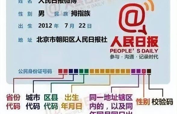 身份证号码提取性别怎么看：详细解析与步骤