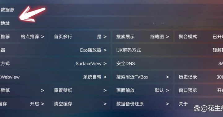 tvbox怎么用：全面指南与详细步骤