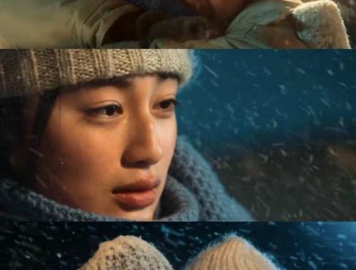 First Love 初恋：青涩岁月里的温柔印记