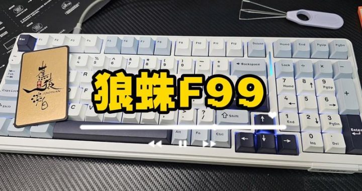 狼蛛F99驱动：深度解析与安装指南