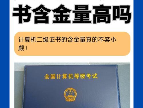 计算机二级有什么用：提升职场竞争力与技能水平的钥匙