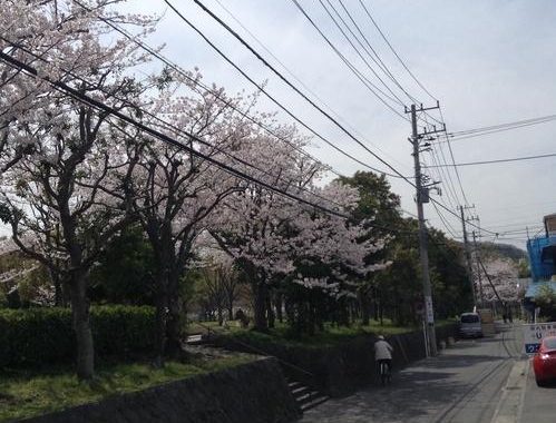横须贺市天気：最新一周天气预报及气候特点