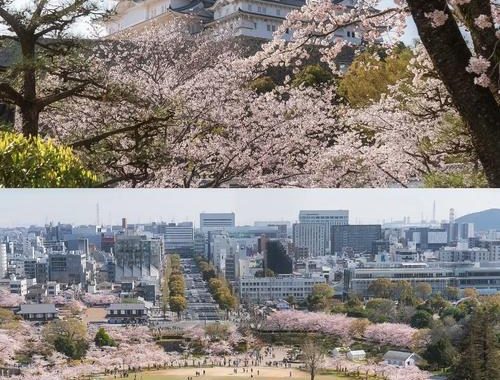 姫路市　天気：详细天气预报及气候特点