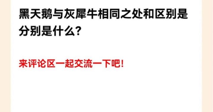 灰犀牛事件与黑天鹅事件：深度解析与应对策略