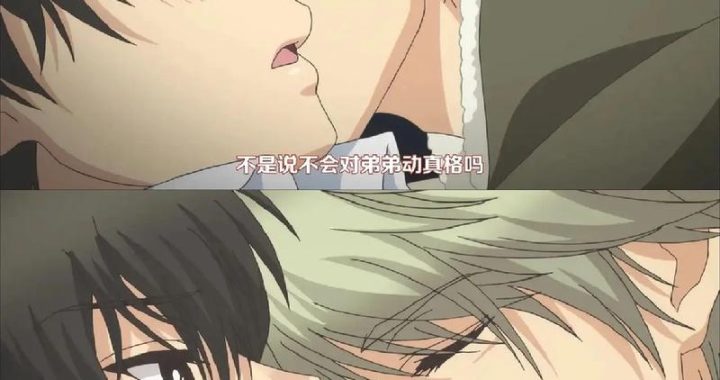 我的弟弟真的很大动漫在线观看：深度解析与观看指南