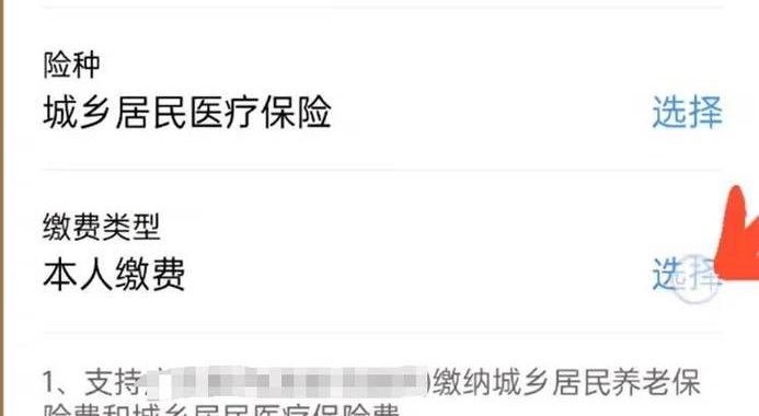 农村合作医疗缴费：全面了解缴费流程、标准与优惠政策