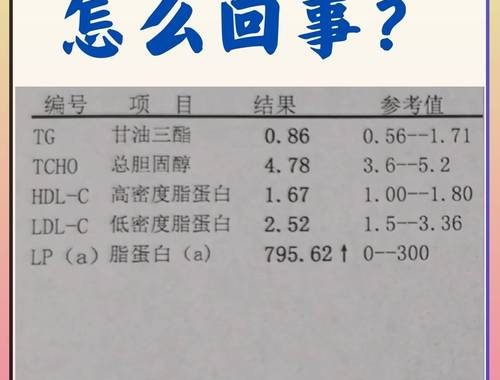 低密度脂蛋白胆固醇偏高：危害、原因与防治策略