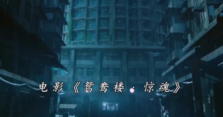 鸳鸯楼电影免费观看：解锁经典爱情故事的浪漫之旅