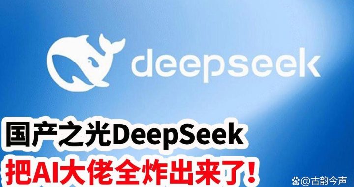 deepseekai崛起：人工智能搜索引擎的新纪元