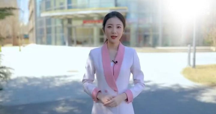 张津渝在线观看：全面解析与精彩内容推荐