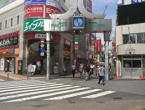 埼玉県北本市：探索自然与文化的魅力之城