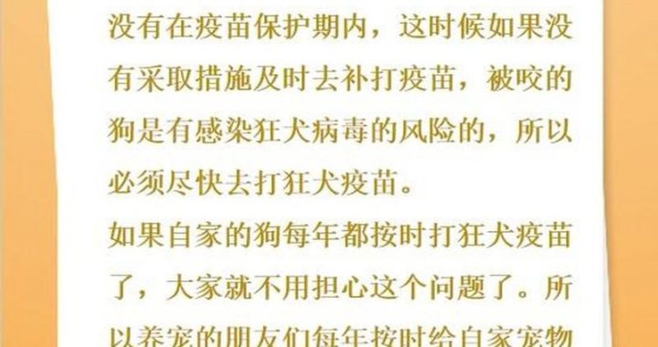 被狗咬了一定会得狂犬病吗？深度解析与预防指南