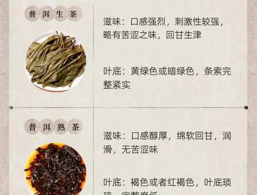 普洱是红茶还是绿茶：深入解析普洱茶的独特分类