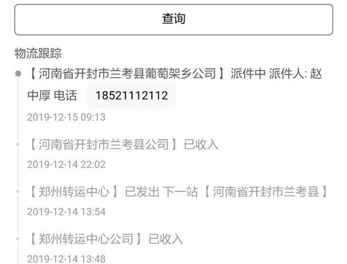 顺心捷达物流单号查询：全面指南与实用技巧
