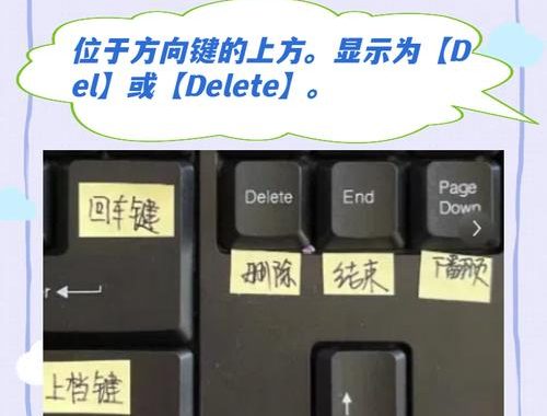 电脑换行键是哪个？全面了解键盘上的换行与段落控制