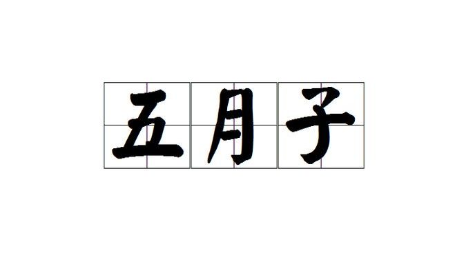 农历五月的别称：仲夏之月与丰富民俗活动