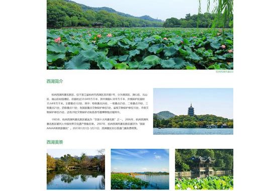 ppt网页版：在线演示文稿编辑与分享的新纪元
