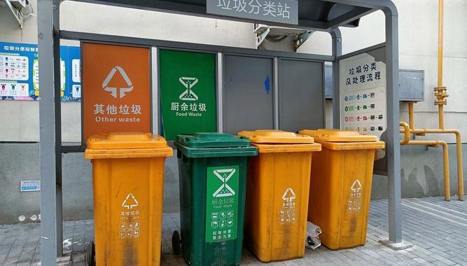 初几可以倒垃圾：传统习俗与现代生活的平衡