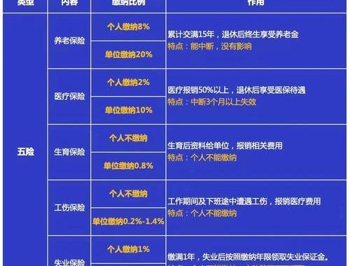 养老金缴纳比例：详解个人与企业贡献比例及影响因素