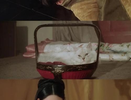 慈禧的秘密生活：权力、奢华与隐秘