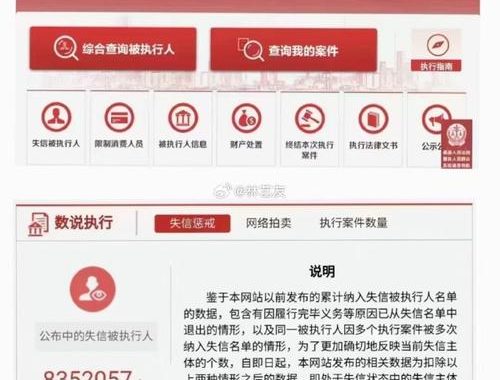 综合查询被执行人：全面解析执行程序与查询技巧