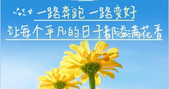 美好的每一天：拥抱生活的小确幸