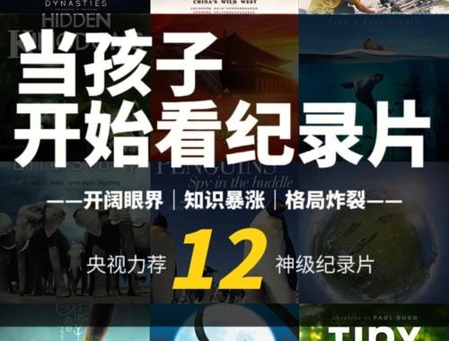 央视儿童纪录片：探索成长奥秘，启迪童年智慧