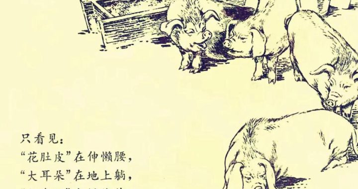 如何把老公变成家猪：从理解到呵护的全方位指南