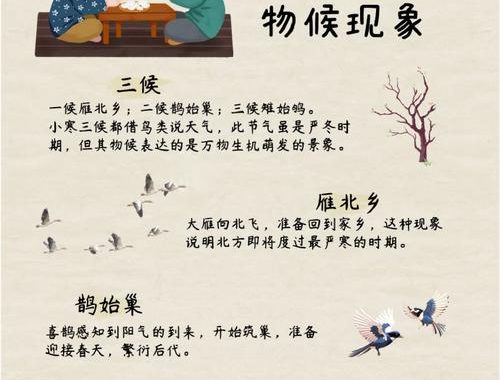 小寒为什么不如大寒冷：气候特点与节气含义深度解析