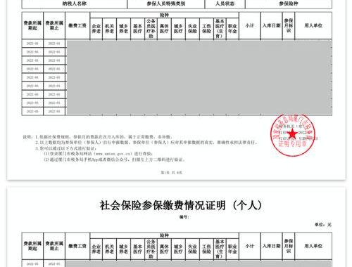 社保缴纳证明怎么开：详细步骤与注意事项