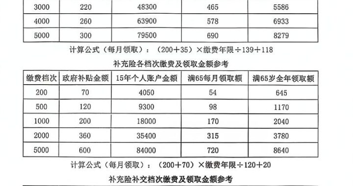 养老保险缴费比例：详解个人与企业分担比例及影响因素