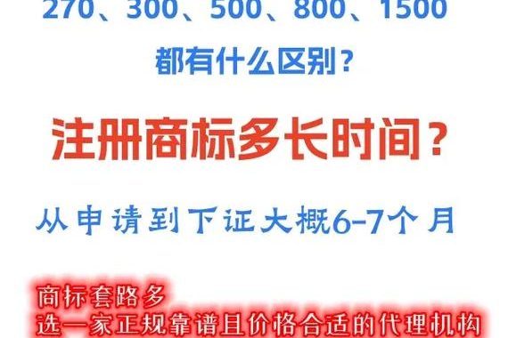 商标注册费用：全面解析与申请流程指南