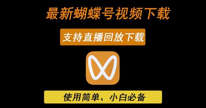 网页视频下载器：全面指南与最佳实践