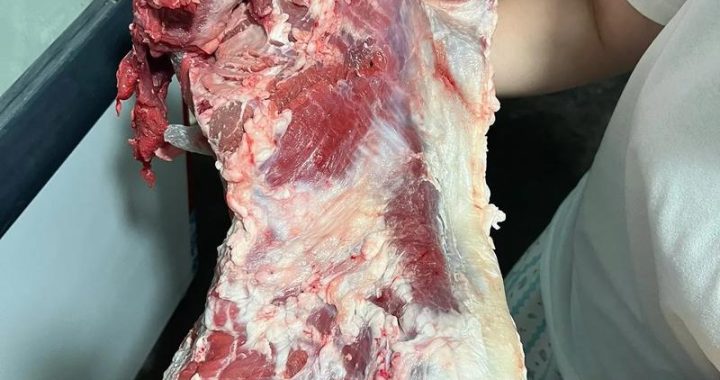 吊龙是哪个部位：揭秘牛肉中的精华部位