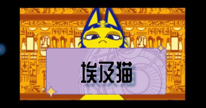 埃及猫摇原版视频打扑克：一场独特的扑克盛宴
