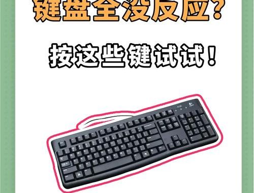 输入一个字后面的字没有了：探究文本编辑中的神秘消失现象