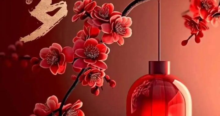 欢度春节图片：捕捉节日喜悦的瞬间
