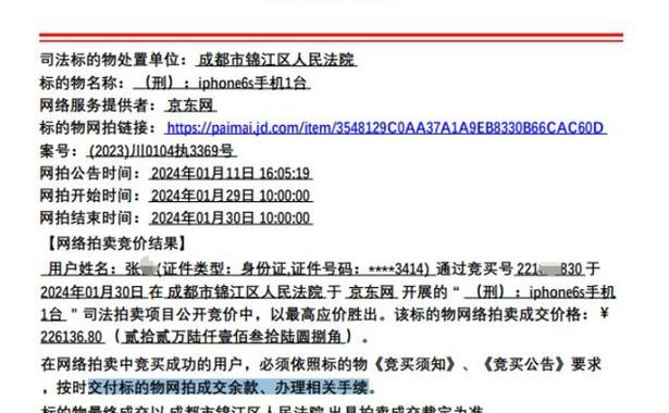 京东网司法拍卖网络平台：全面解析与操作指南